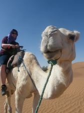 Riding camels before taking a 4x4 to Erg Chegaga Dunes