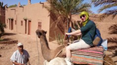 Riding about on camels