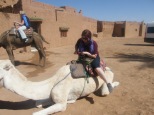 Oulad Driss, Camel, Morocco